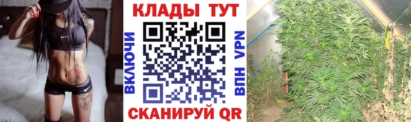 Где можно купить наркотики Моздок КОКАИН Галлюциногенные грибы Меф Alpha PVP Гашиш МАРИХУАНА