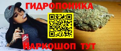 молекула духа Кулебаки