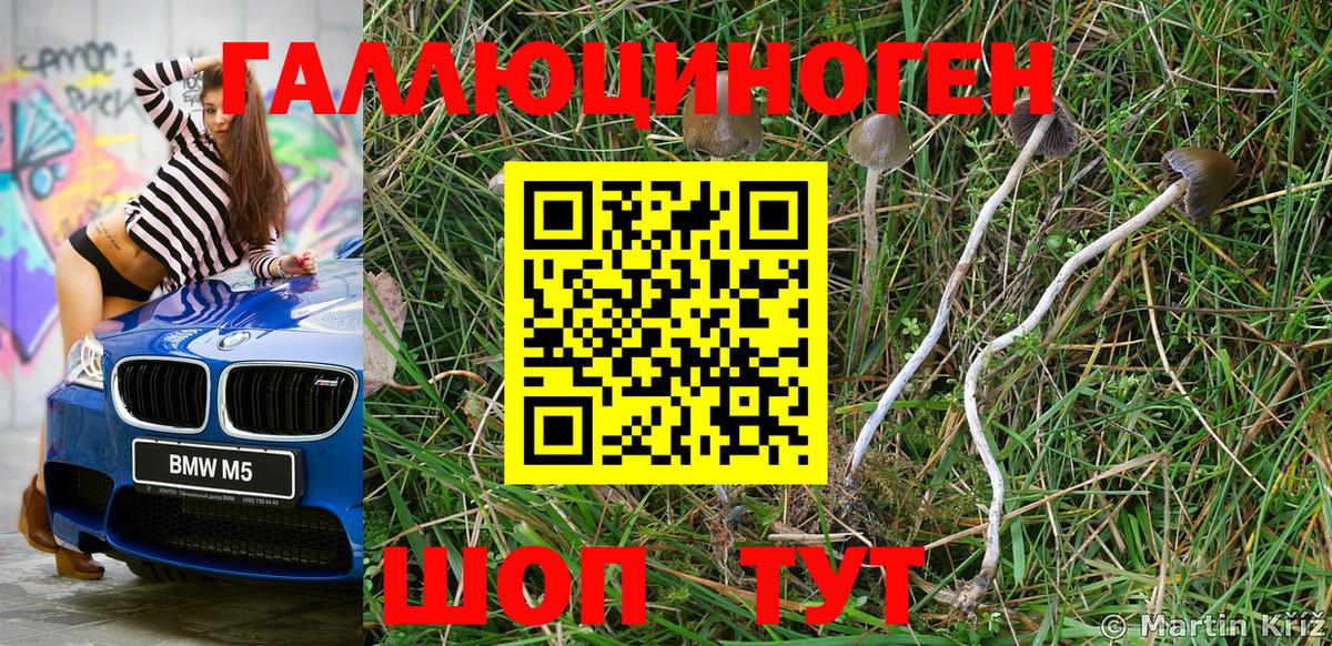 Моздок  ГАШ  Вход с VPN  Меф МЯУ МЯУ   Конопля 